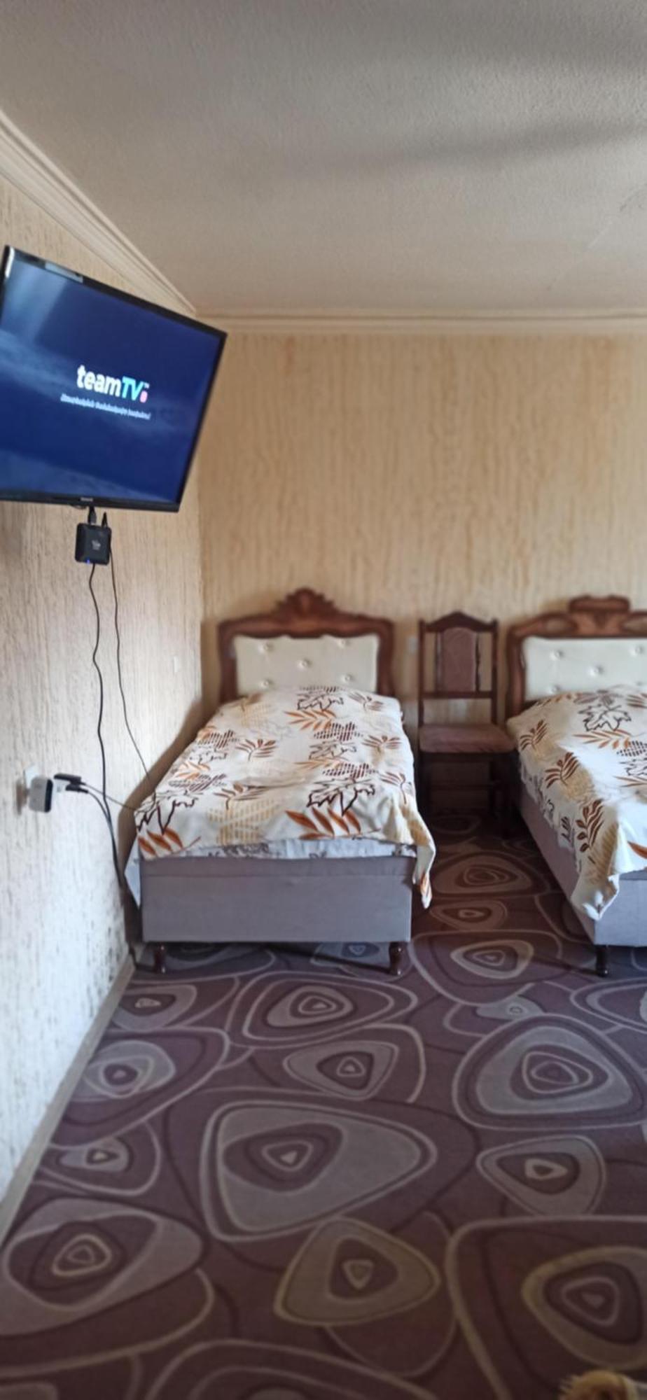 Lucy B&B Goris Quarto foto
